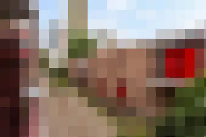 Wijnkade 42 Rotterdam thumbnail 25