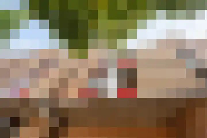 Wijnkade 42 Rotterdam thumbnail 29