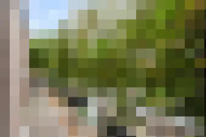 Wijnkade 42 Rotterdam thumbnail 5
