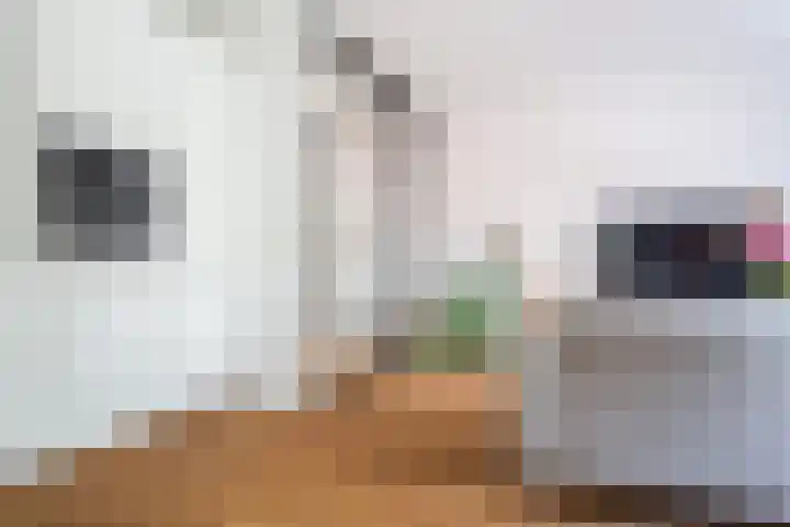 Wijnkade 42 Rotterdam thumbnail 9