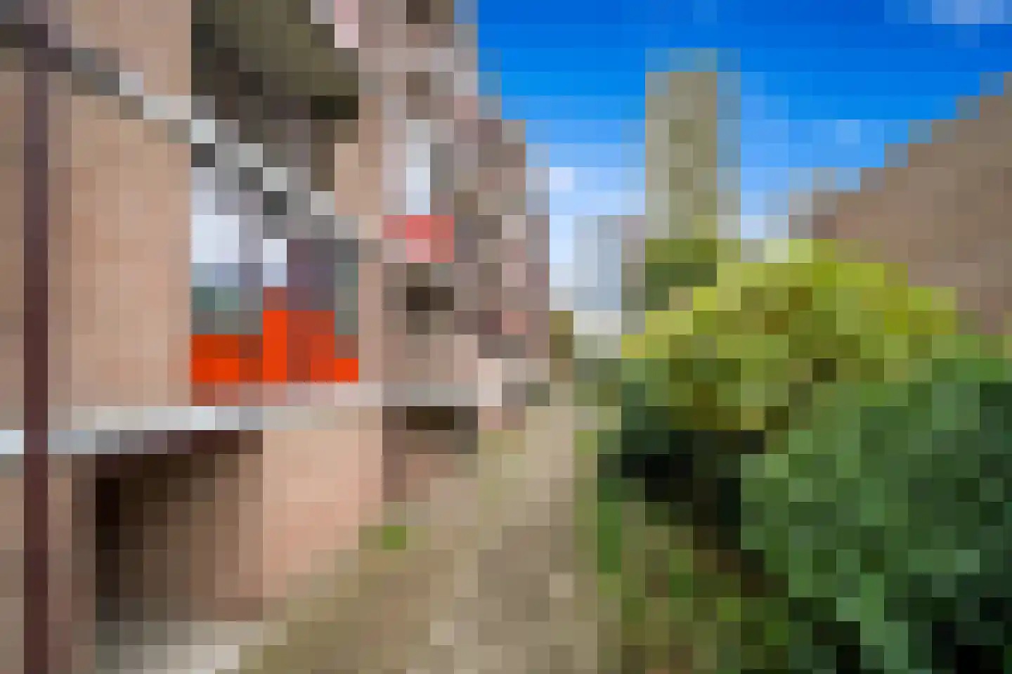 Wijnkade 44 Rotterdam thumbnail 25