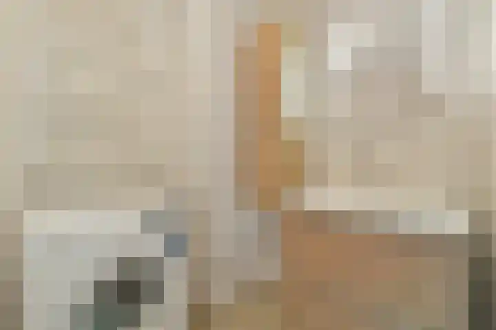Wijnkade 46 Rotterdam thumbnail 16
