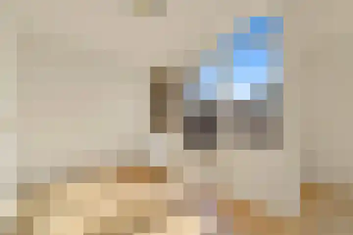 Wijnkade 46 Rotterdam thumbnail 6