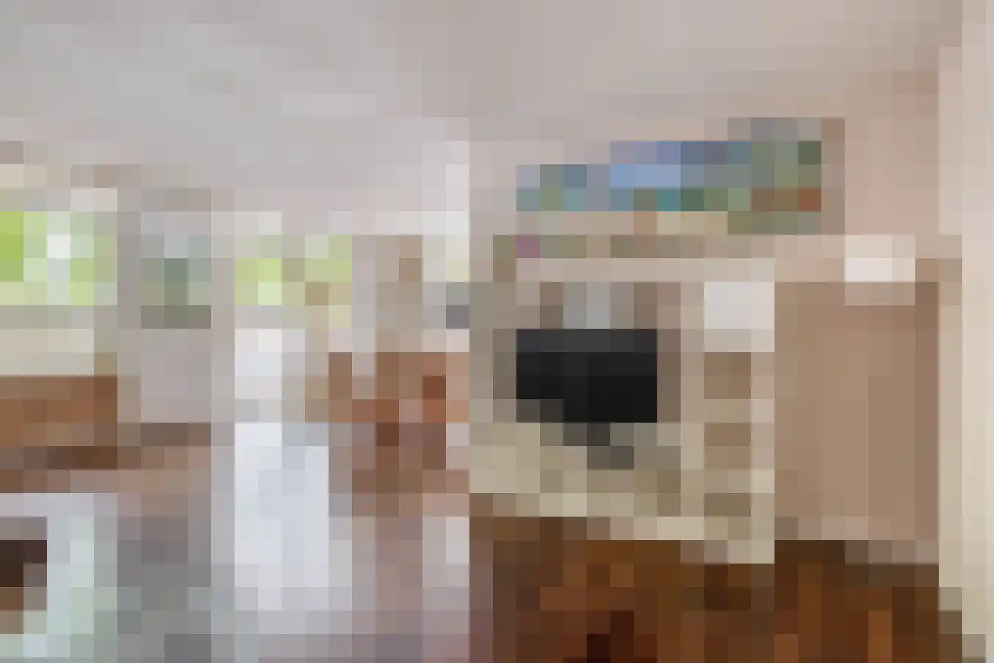 Wijnkade 58 Rotterdam thumbnail 22