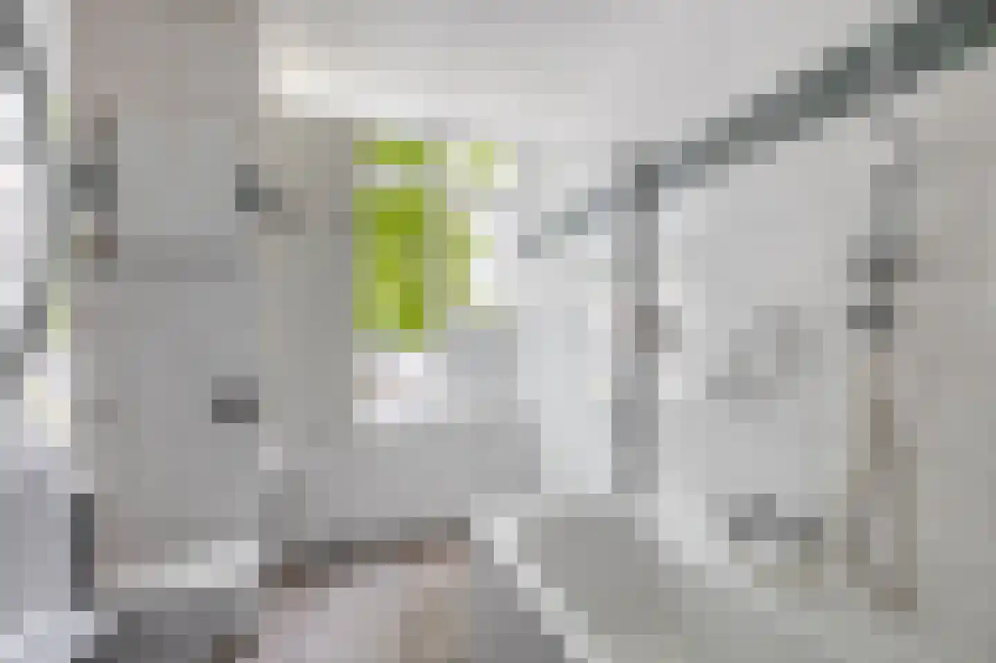 Wijnkade 58 Rotterdam thumbnail 31