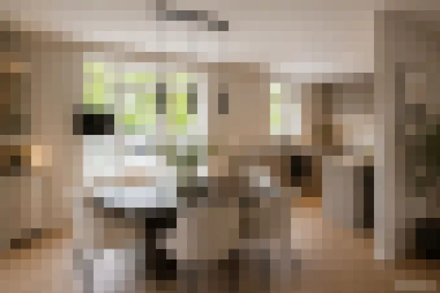 Wijnkade 58 Rotterdam thumbnail 6