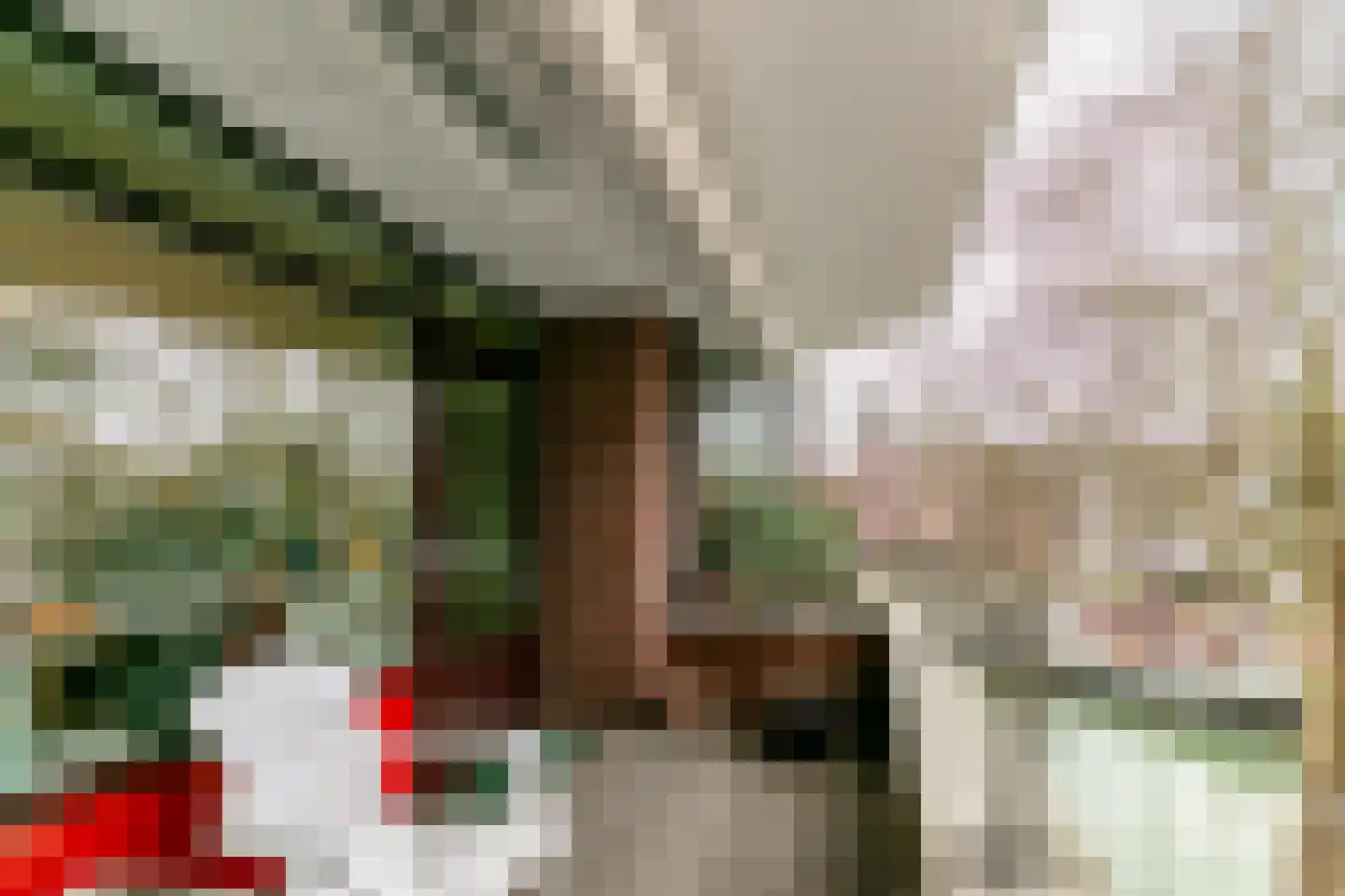 Wijnkade 65 Rotterdam thumbnail 10