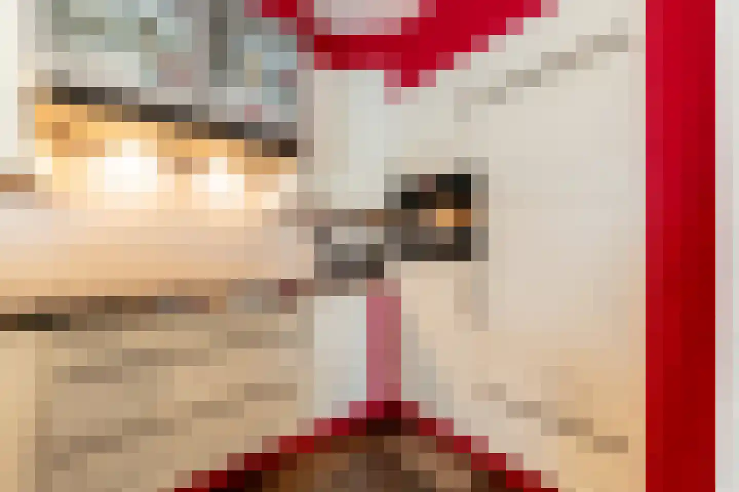 Wijnkade 65 Rotterdam thumbnail 16