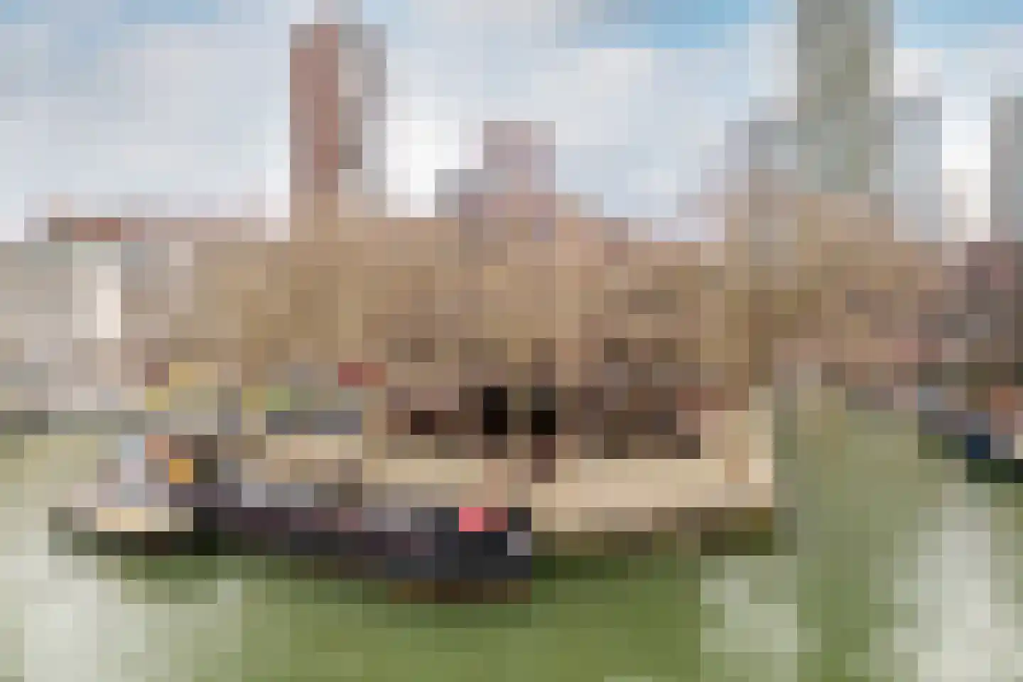 Wijnkade 65 Rotterdam thumbnail 29