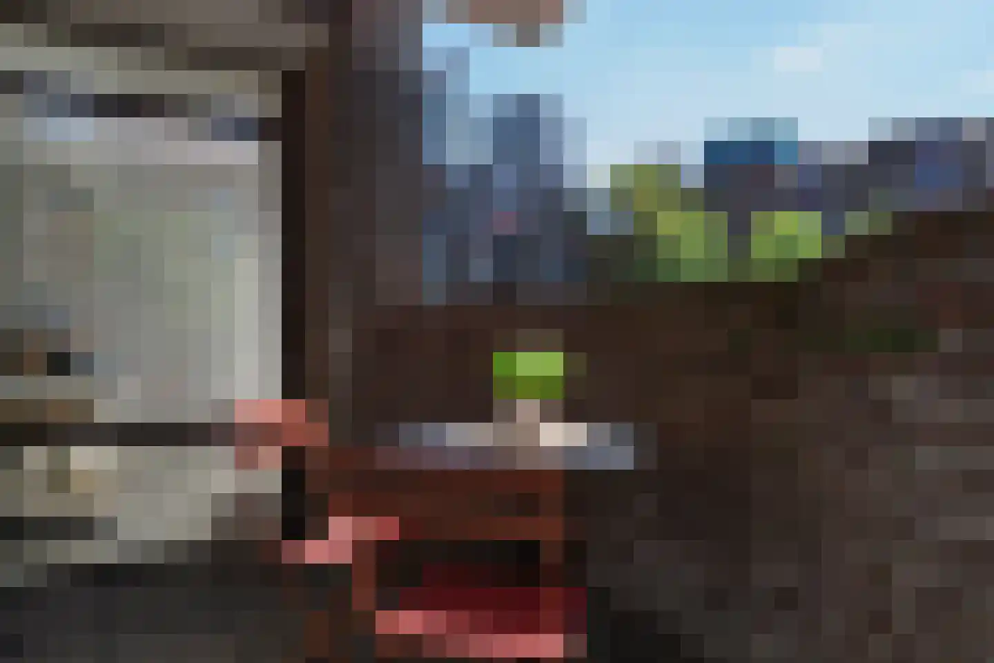 Wijnkade 75 Rotterdam thumbnail 14