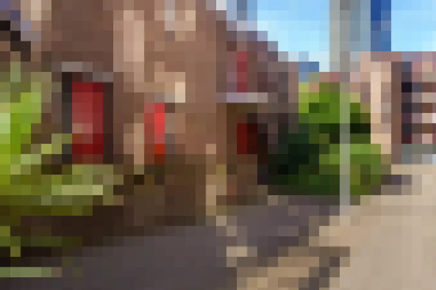 Wijnkade 76 Rotterdam thumbnail 4