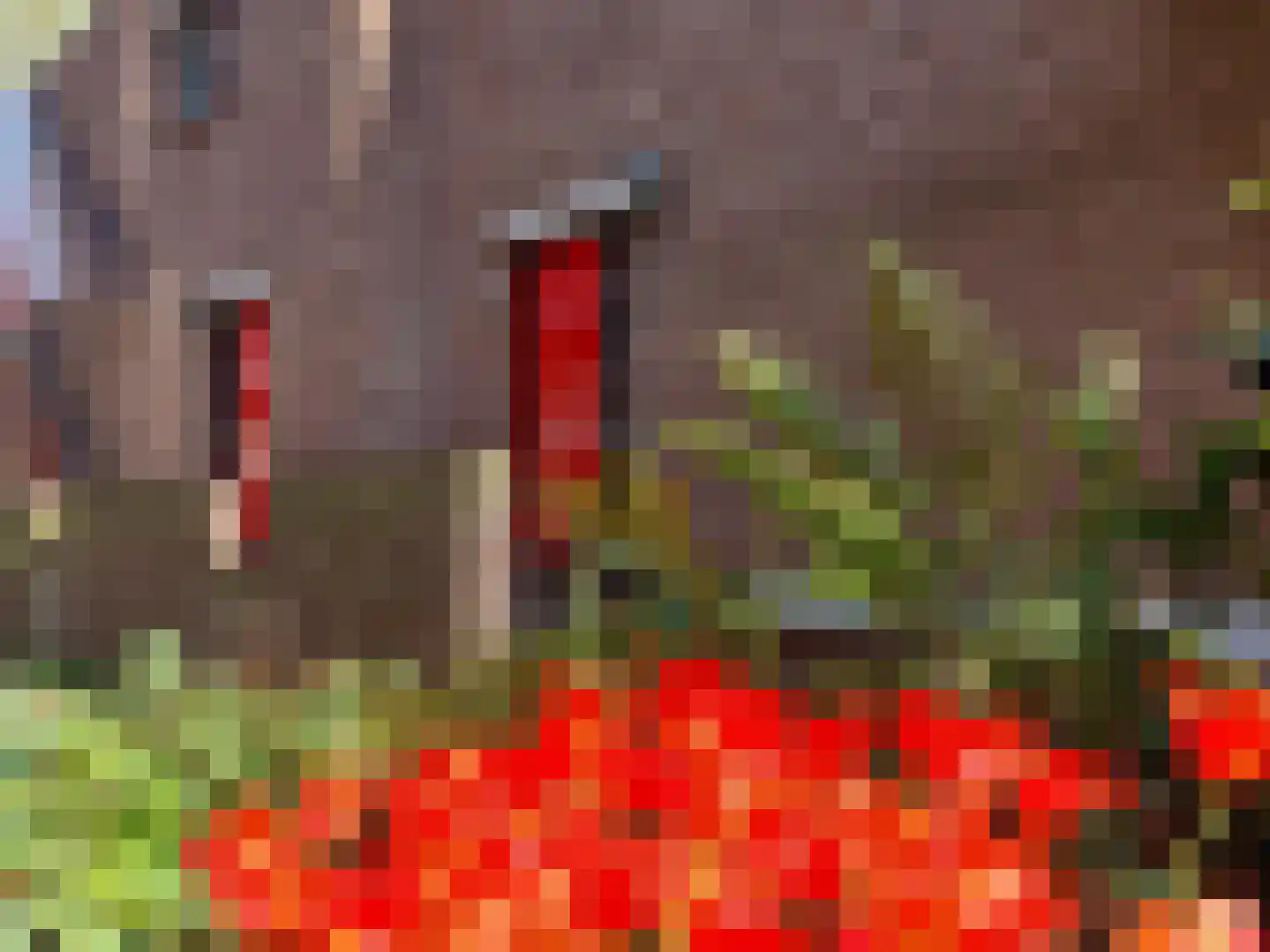 Wijnkade 76 Rotterdam thumbnail 6