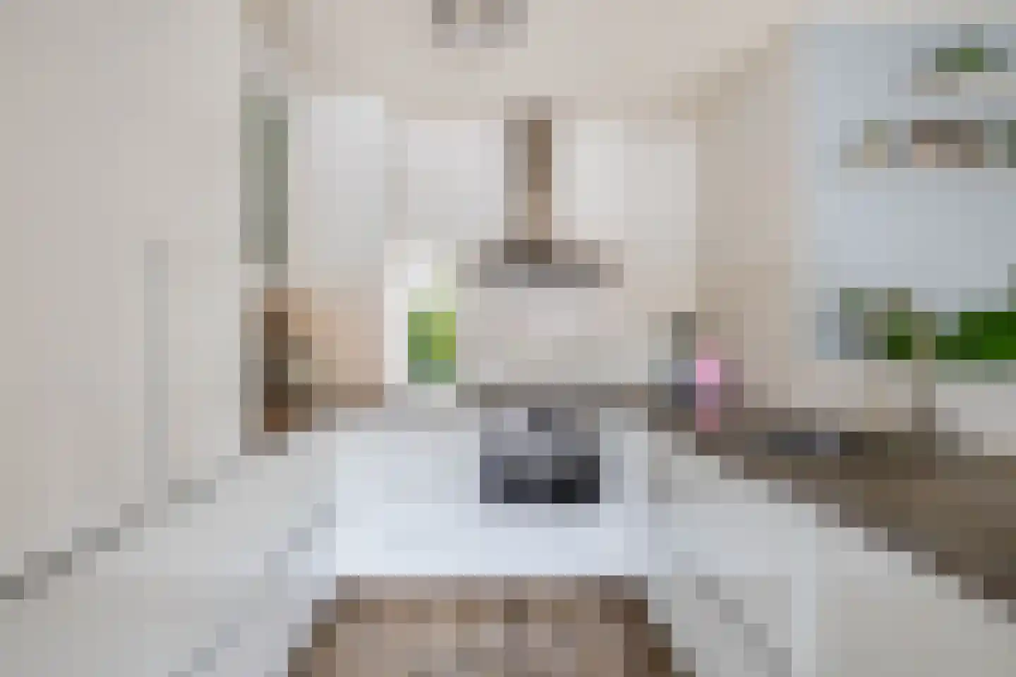 Wijnkade 76 Rotterdam thumbnail 8