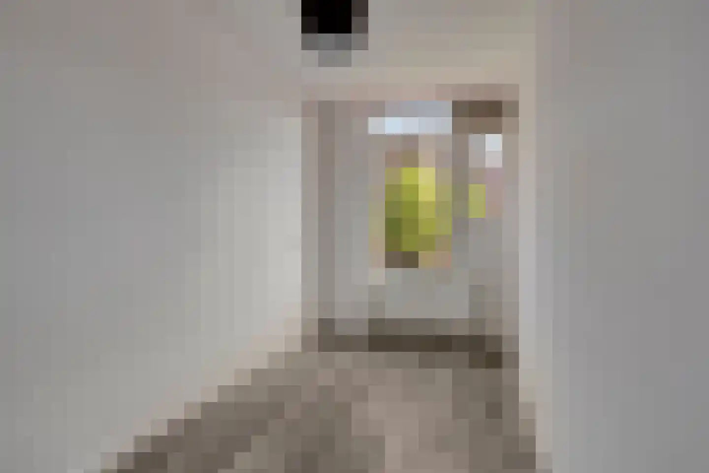 Wijnkade 78 Rotterdam thumbnail 16
