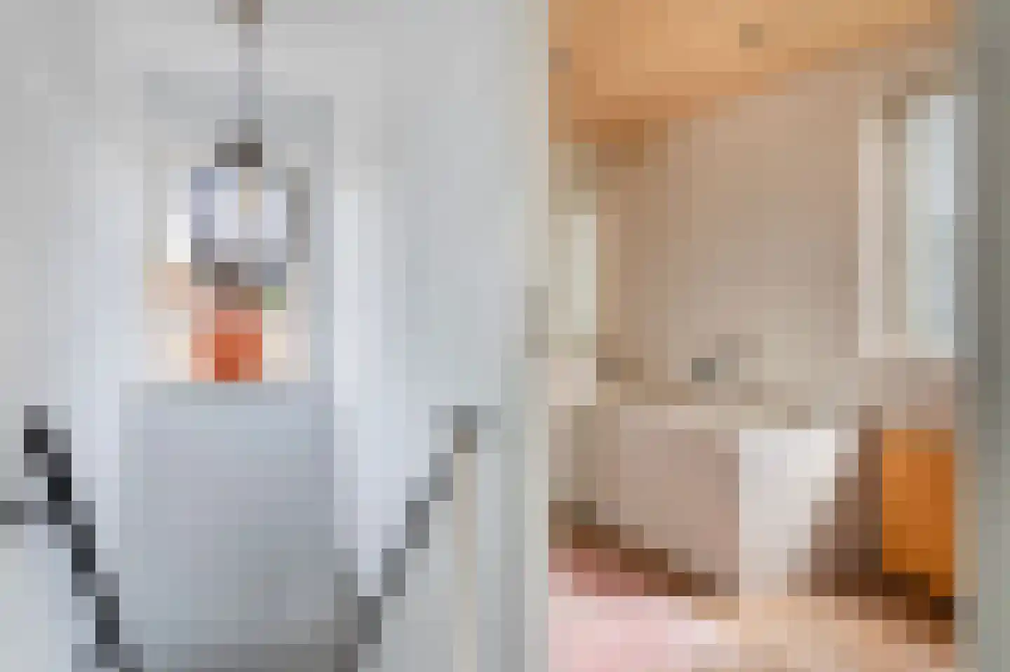 Wijnkamp 1 Goor thumbnail 16