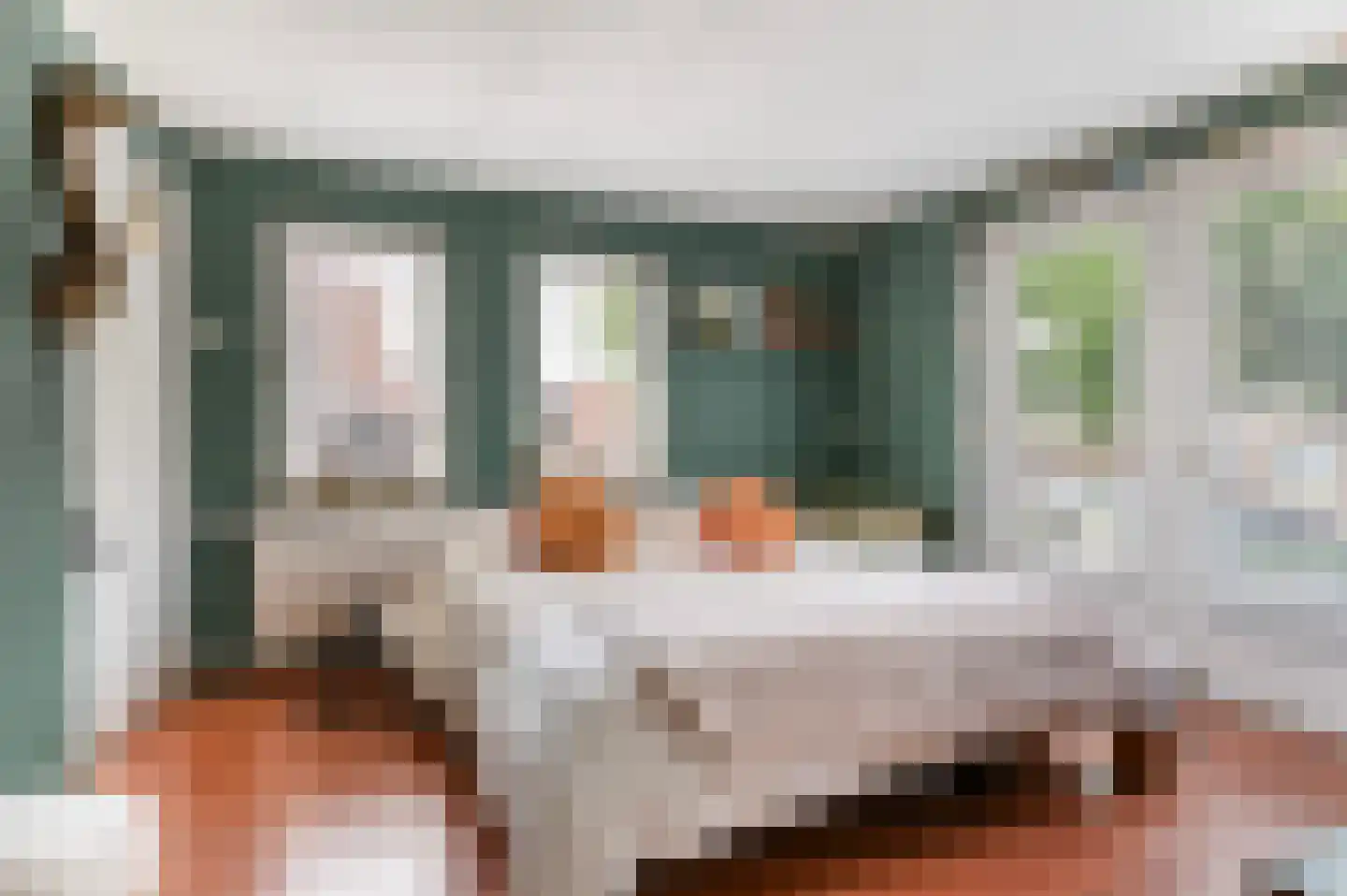 Wijnkamp 1 Goor thumbnail 22