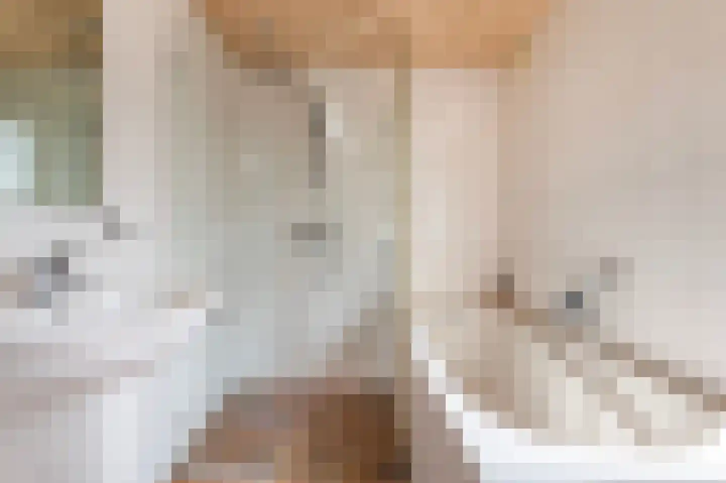 Wijnkamp 1 Goor thumbnail 25