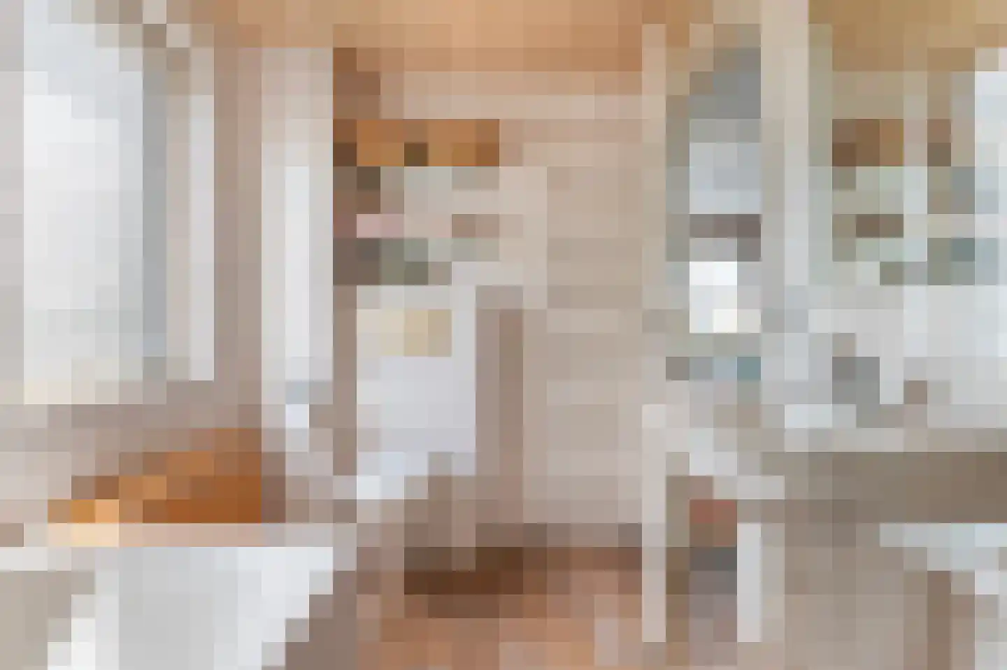 Wijnkamp 1 Goor thumbnail 26