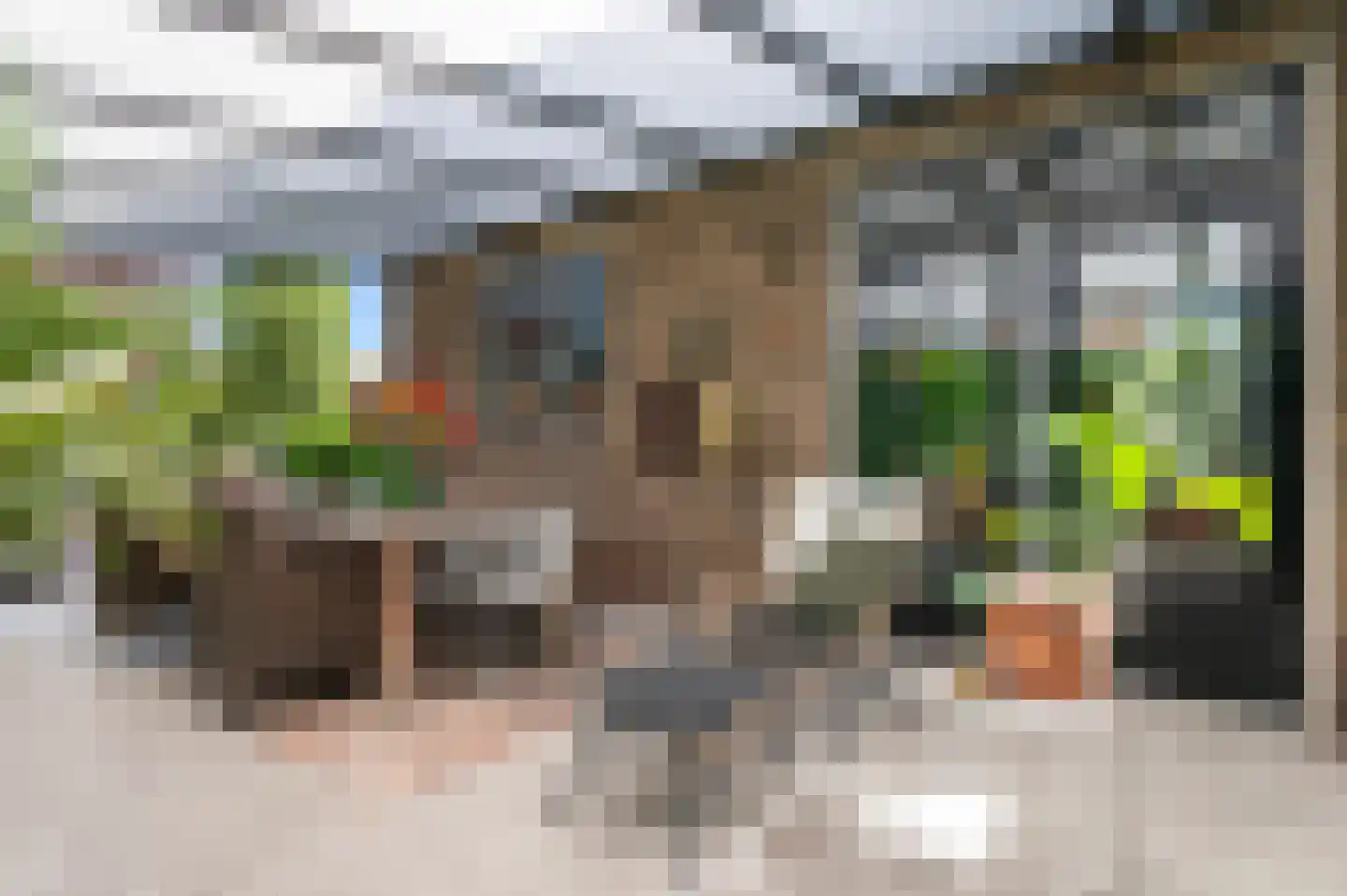 Wijnkamp 1 Goor thumbnail 4