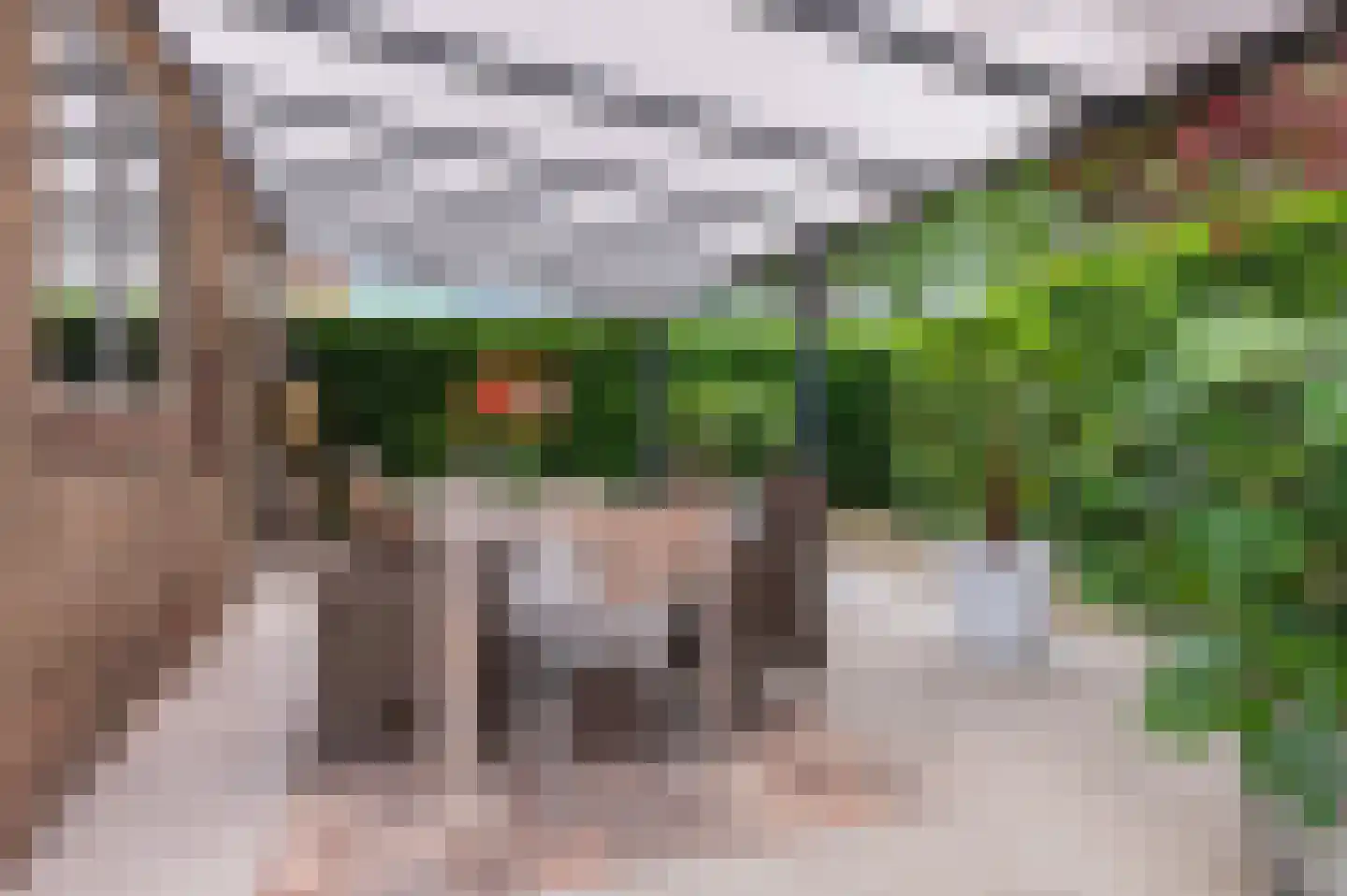 Wijnkamp 1 Goor thumbnail 5