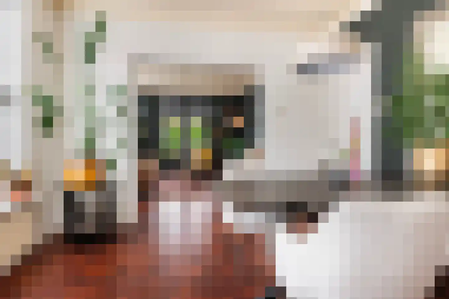 Wijnkamp 1 Goor thumbnail 9