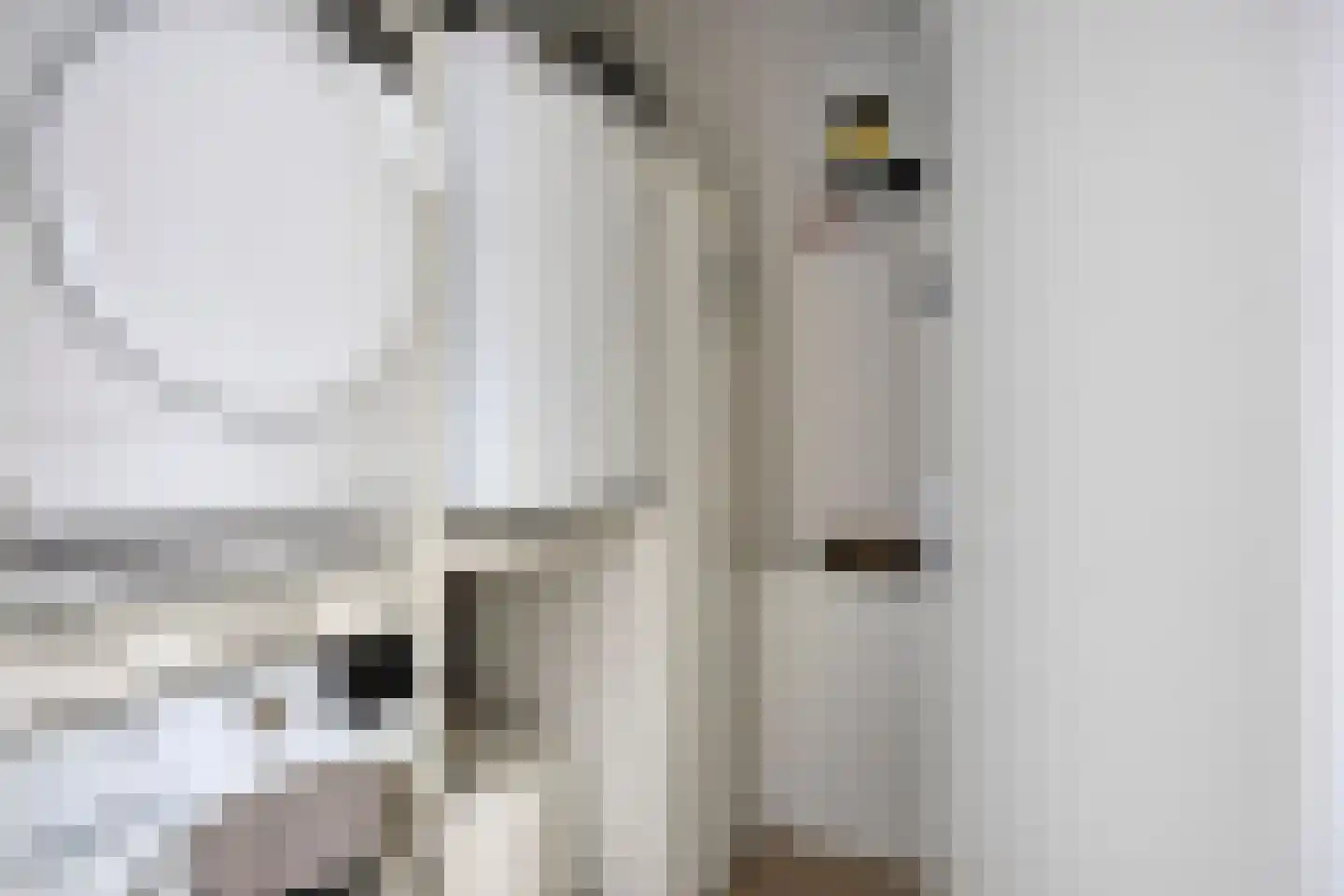 Wijnkamp 22 a Goor thumbnail 30