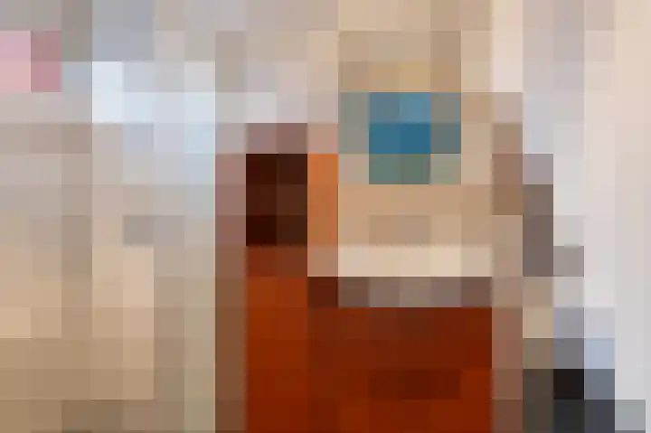 Wijnkamp 23 b Goor thumbnail 11