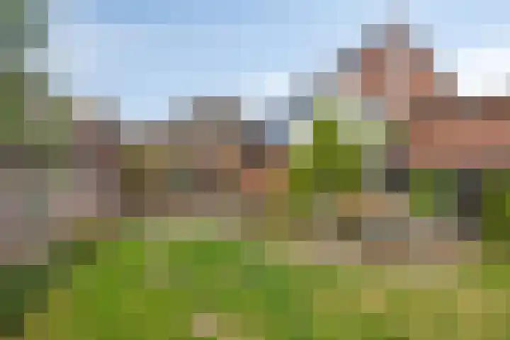 Wijnkamp 36 Goor thumbnail 27