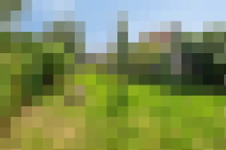 Wijnkamp 36 Goor thumbnail 29