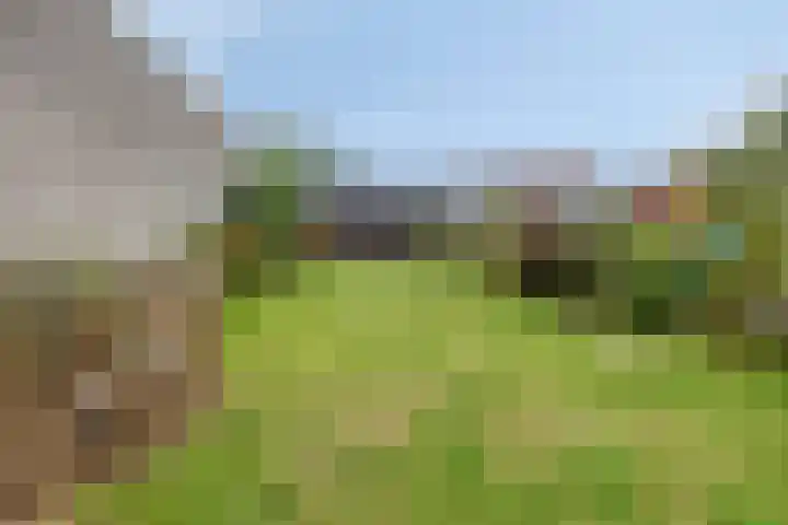 Wijnkamp 36 Goor thumbnail 30