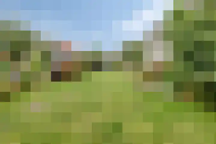 Wijnkamp 36 Goor thumbnail 31