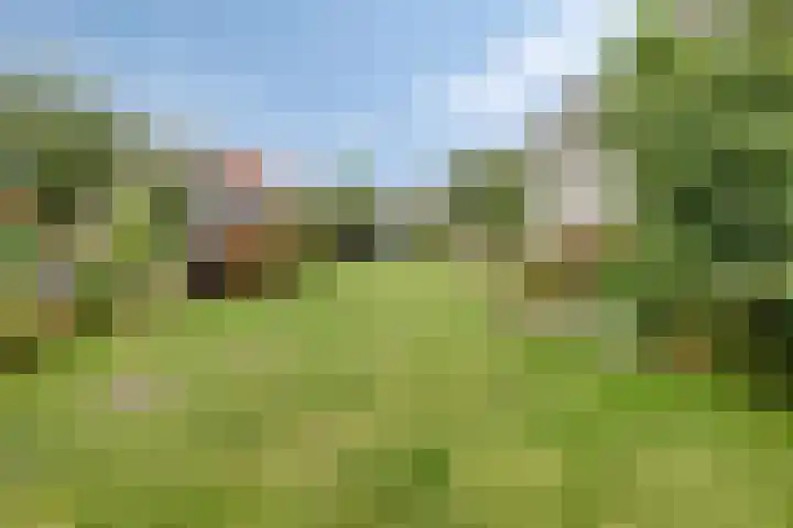 Wijnkamp 36 Goor thumbnail 7