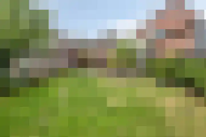 Wijnkamp 36 Goor thumbnail 8
