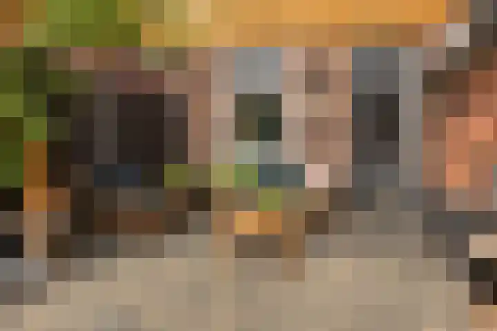 Wijnkamp 36 Goor thumbnail 9