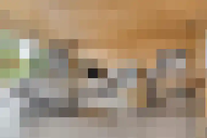 Wijnkamp 38 Goor thumbnail 12