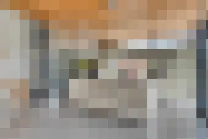 Wijnkamp 38 Goor thumbnail 17