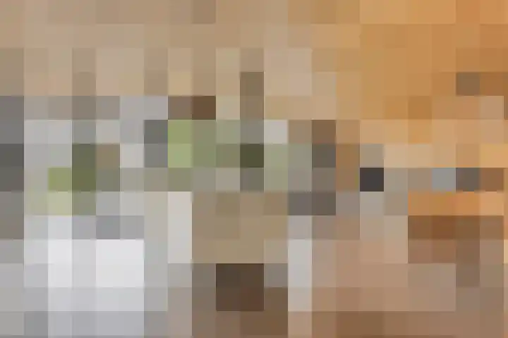 Wijnkamp 38 Goor thumbnail 22