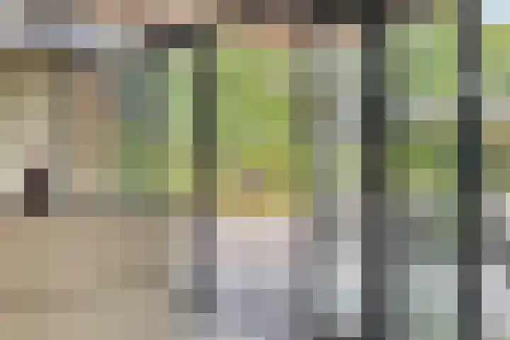 Wijnkamp 38 Goor thumbnail 23