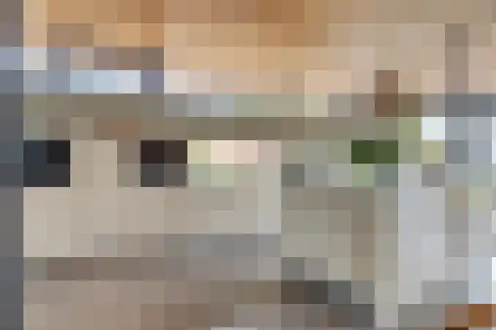 Wijnkamp 38 Goor thumbnail 24