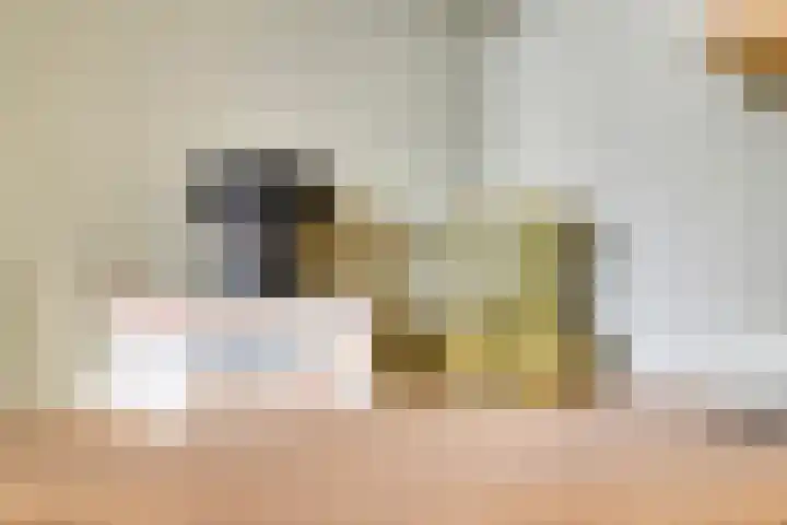 Wijnkamp 38 Goor thumbnail 26