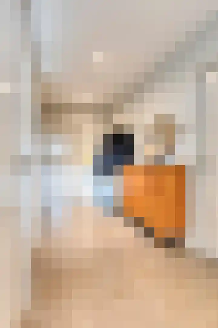 Wijnkamp 38 Goor thumbnail 29