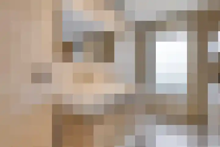 Wijnkamp 38 Goor thumbnail 37