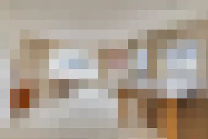 Wijnkamp 38 Goor thumbnail 48