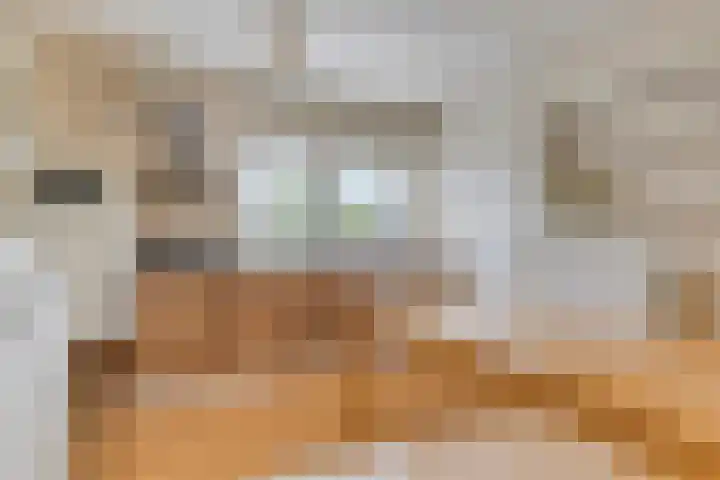 Wijnkamp 38 Goor thumbnail 49