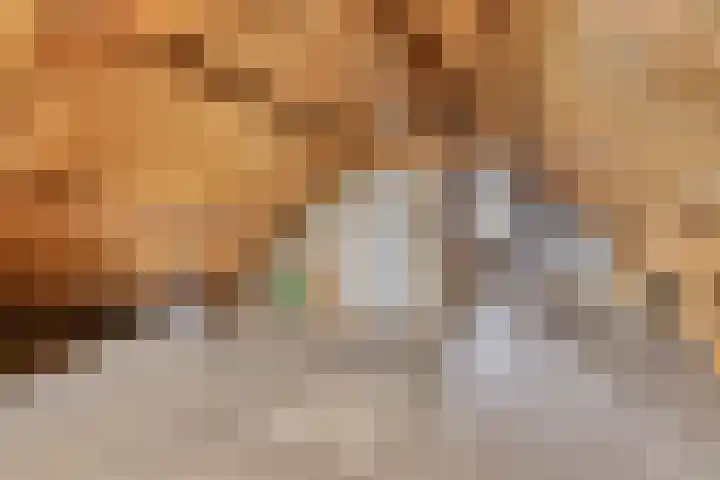 Wijnkamp 38 Goor thumbnail 56