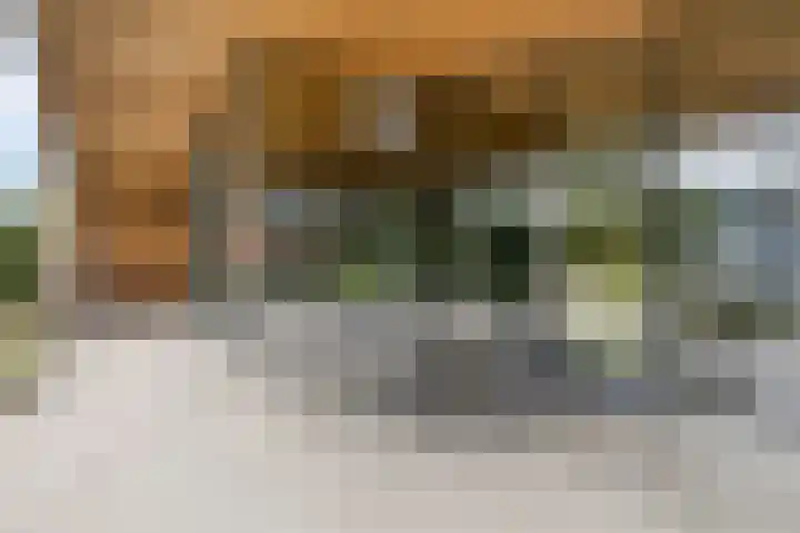 Wijnkamp 38 Goor thumbnail 57