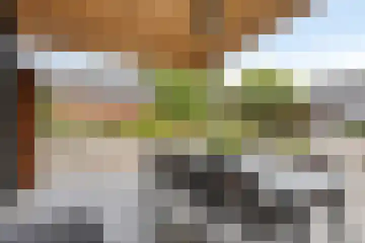 Wijnkamp 38 Goor thumbnail 59