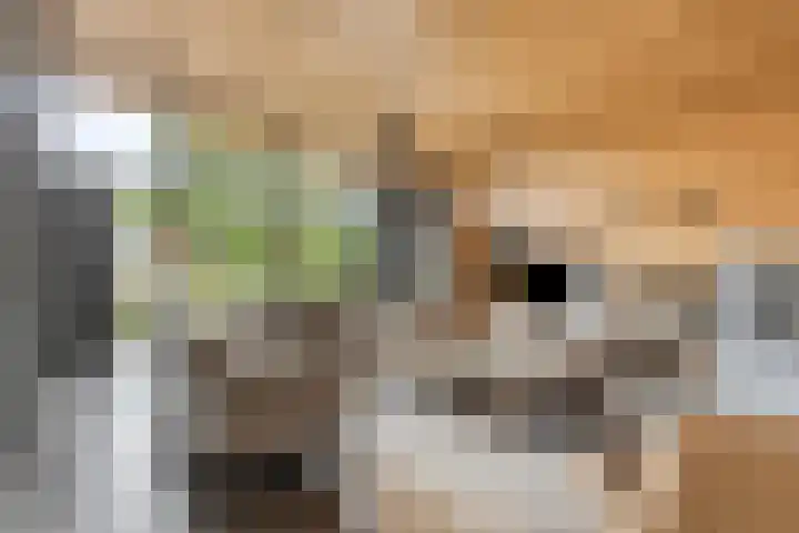 Wijnkamp 38 Goor thumbnail 6