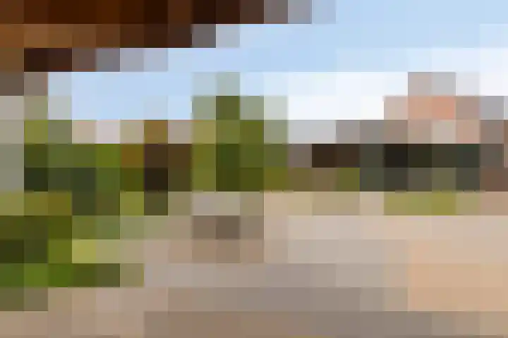 Wijnkamp 38 Goor thumbnail 60