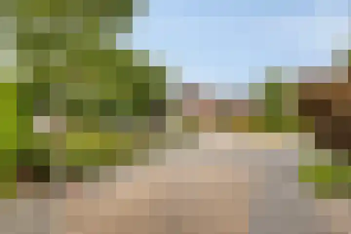 Wijnkamp 38 Goor thumbnail 63